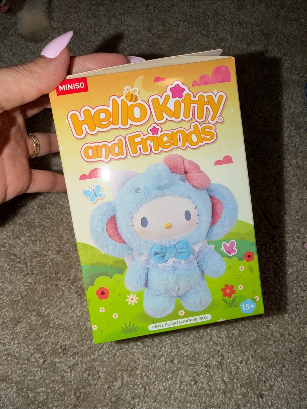 Hello Kitty and Friends BLIND BOX SEALED, box opened! POMPOMPURIN CONFIRMED!